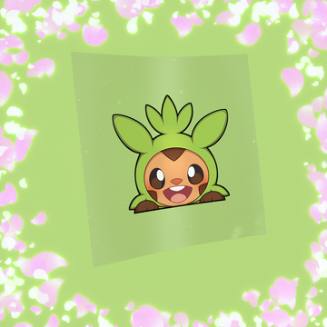 Spiny Nut Rodent Peeker